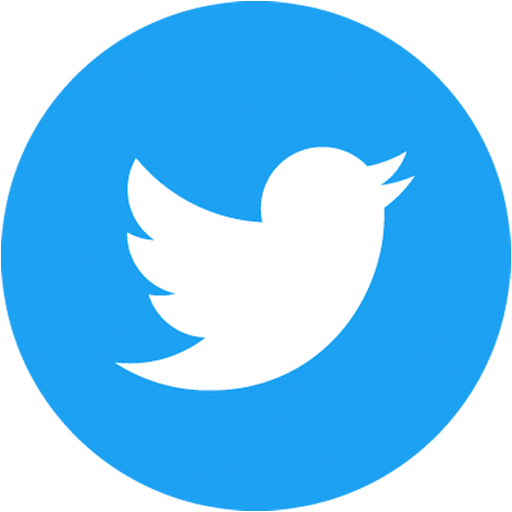 Twitter social icon